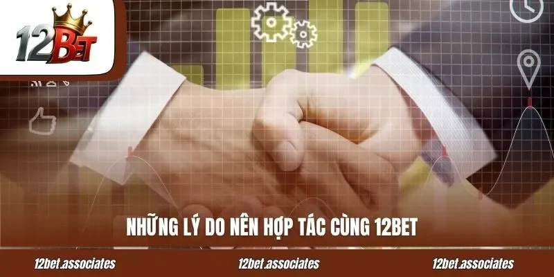 Những lý do nên hợp tác cùng 12BET